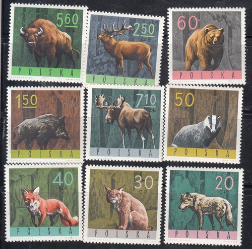Polonia 1965 1369 - polonia,