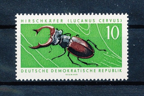 Ddr 1963 michel 978 - ddr, **