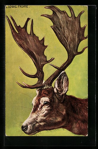 Cartolina artistica ludwig - artistica,