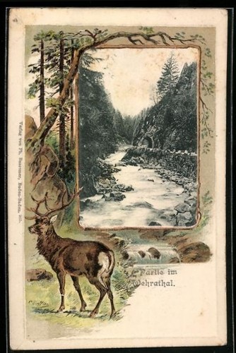 Cartolina rilievo cervo in - rilievo,
