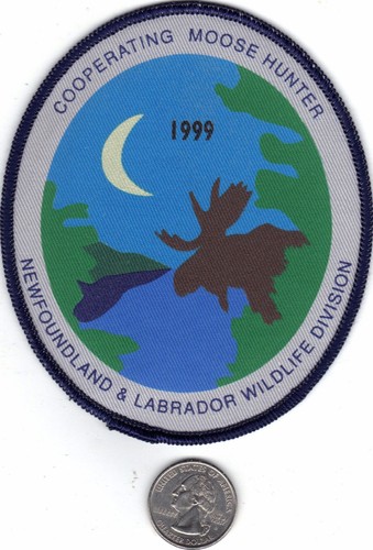1999 terranova labrador - terranova,
